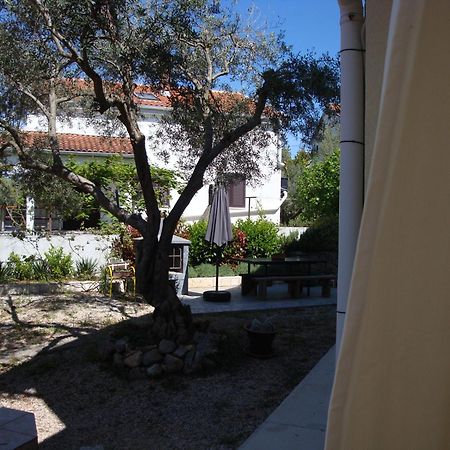Apartments Olea Pinezići Exterior foto